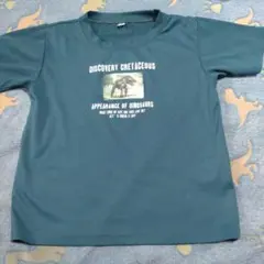 恐竜Ｔシャツ　120