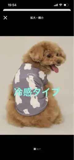 gelato piqueジェラートピケ【CAT&DOG】接触冷感シロクマ柄ウェアのサムネイル