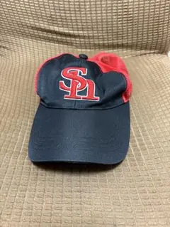 Item thumbnail for item a2f30946-29be-4798-b746-5092c5978916