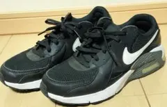 Nike Air Max エアマックス　エクシ 24.5cm