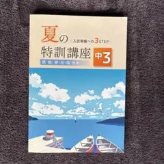 2026年最新】夏期集中志望校錬成特訓の人気アイテム - メルカリ