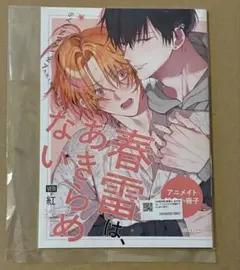 紅 アニメイト 特典 小冊子