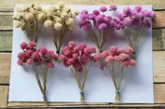 Item thumbnail for item 603b8574-7fc8-4889-a4b9-b3adfdee75da