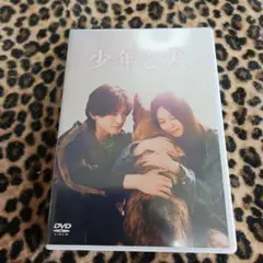 少年と犬 DVD