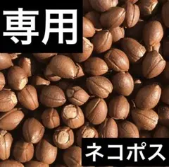 エゴノキの実　700粒以上　ネコポス