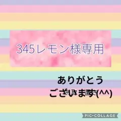 【91】エデナム柄♡Purple系 LIBERTY生地