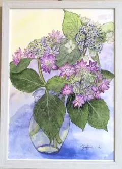 1757 スクエアフレーム入り「アジサイ3種」水彩画、原画、花の絵