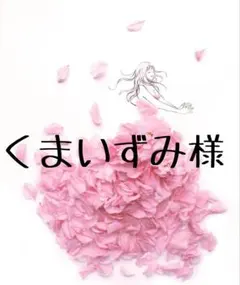 【くまいずみ様 専用】〜3月分お取り置き〜