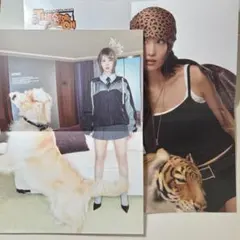 TWICE モモ strategy this is for ポスター　トレカ