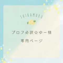 2026年最新】プロフ必読の人気アイテム - メルカリ