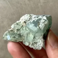 2025年最新】シャンファーリンの人気アイテム - メルカリ