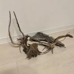 Item thumbnail for item 567a2203-a710-4bc5-8f22-3a0681a69285