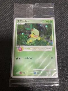 ナエトル ミニカード セブン‐イレブン限定「ポケモンミニカード