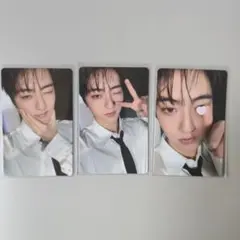 TREASURE PLEASURE ハルト タレントカード 3枚セット