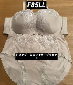 トリンプ　寄せて上げてスッキリミニマイザーブラジャーショーツセットF85LL
