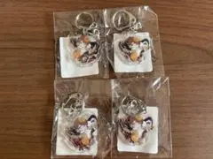 Crazy Raccoon jasper 4点セット