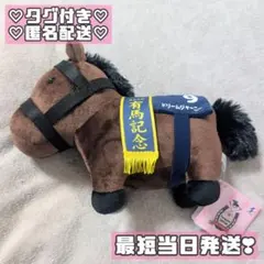 サラブレッドコレクション OKぬいぐるみ6 ドリームジャーニー