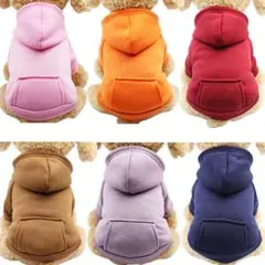dog clothes