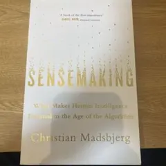 Sensemaking: What Makes Human Intelligen