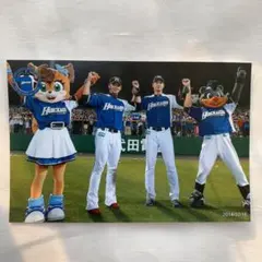 ハイライトフォト　日本ハムファイターズ　大谷翔平　谷口雄也　公式写真　生写真