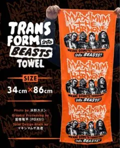 2025年最新】マキシマムザホルモン タオルの人気アイテム - メルカリ