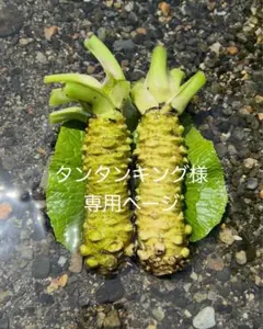 本わさび　約150g タンタンキング様専用ページ