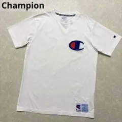 Item thumbnail for item cc830f14-118a-42e6-9971-9bc4796fbe39