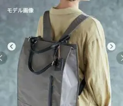 【美品】フェリシモel:ment 保冷リュック　3way キャスター付　グレーのサムネイル
