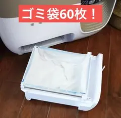 Item thumbnail for item 85368395-d3e5-40fa-aa2a-26d52a4ac98d