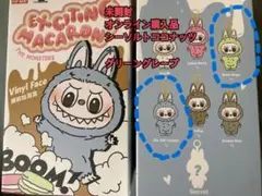 未開封正規品　POP MART ラブブ　 エクサイティングマカロン　２個セット