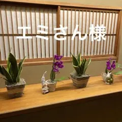 モモンガポーチ　袋ポーチ　ヒーターポケット付き　Mサイズ　2個セット　ポB- M