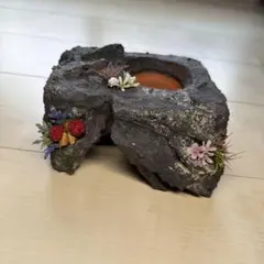 爬虫類 両生類用 ともえ屋 ウェットシェルターのサムネイル