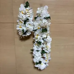 フラ用レイ プルメリア