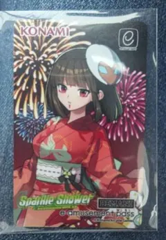 使用済み 2種セット ビックカメラ ギフトカード ビッカメ娘 ナイセン