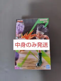 HUNTER×HUNTER フィギュア-ゴン-G.I.編 中身のみの発送