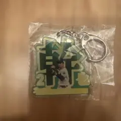 中日ドラゴンズ 田中幹也 2のアクリルキーホルダー