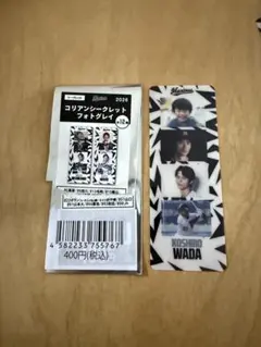 千葉ロッテマリーンズ コリアンシークレットフォトグレイ 和田康士朗