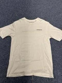 patagonia オーガニックコットン Tシャツ XS