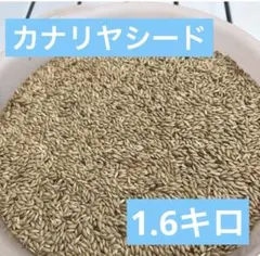 Item thumbnail for item d1aa2a53-8bb3-45a3-8dfa-789c5c596ca0