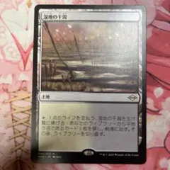 MTG 湿地の干潟
