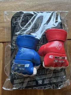 2026年最新】RiZIN グローブの人気アイテム - メルカリ