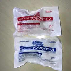 ポケモン オリジナルフィギュア ゲンシグラードン ゲンシカイオーガ　２個セット