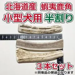 小型犬用　蝦夷鹿の角　半割り3本セット　北海道産　犬　おもちゃ　シカ　ツノのサムネイル