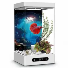 베타 워터 탱크, 1.6L, 온도 설정, LED 조명 포함, 간편한 물 교체, 애완 동물 용품, 물고기