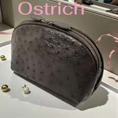 オーストリッチレザー ダークブラウン ラウンド型ポーチ