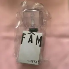 FAMペンライト タイムレス