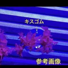 ジジテト様 リクエスト 2点 まとめ商品