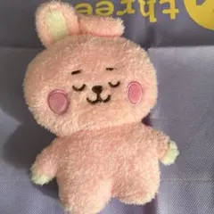 bt21 クッキー　たっとん　bts
