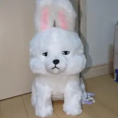 きょむきょむ倶楽部　うさみ　タグ付き　ぬいぐるみ