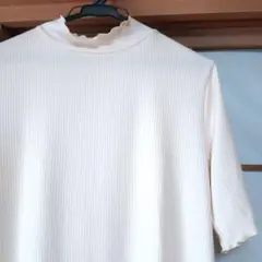 Item thumbnail for item b090c552-8ffe-40f6-ab9e-3db5e034c2d4